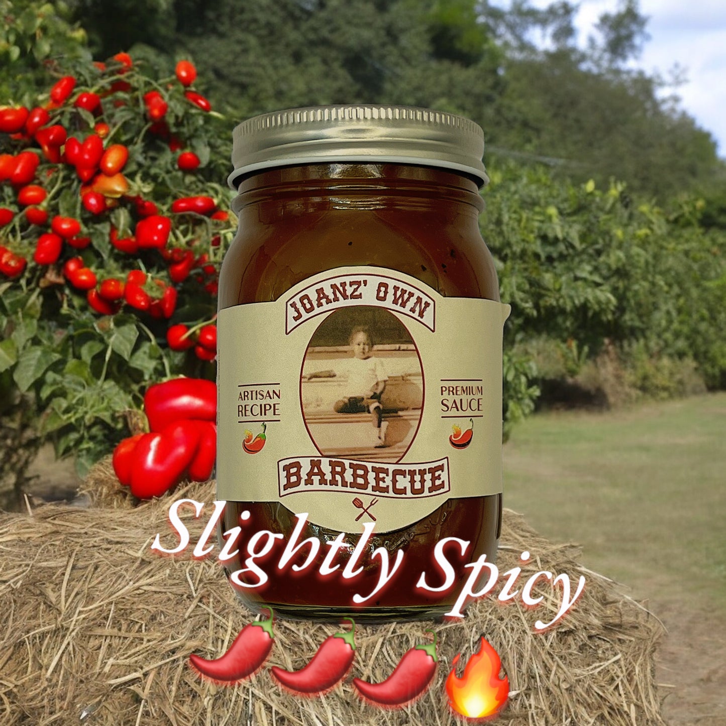 JoanzOwn “Slightly Spicy” BBQ Sauce